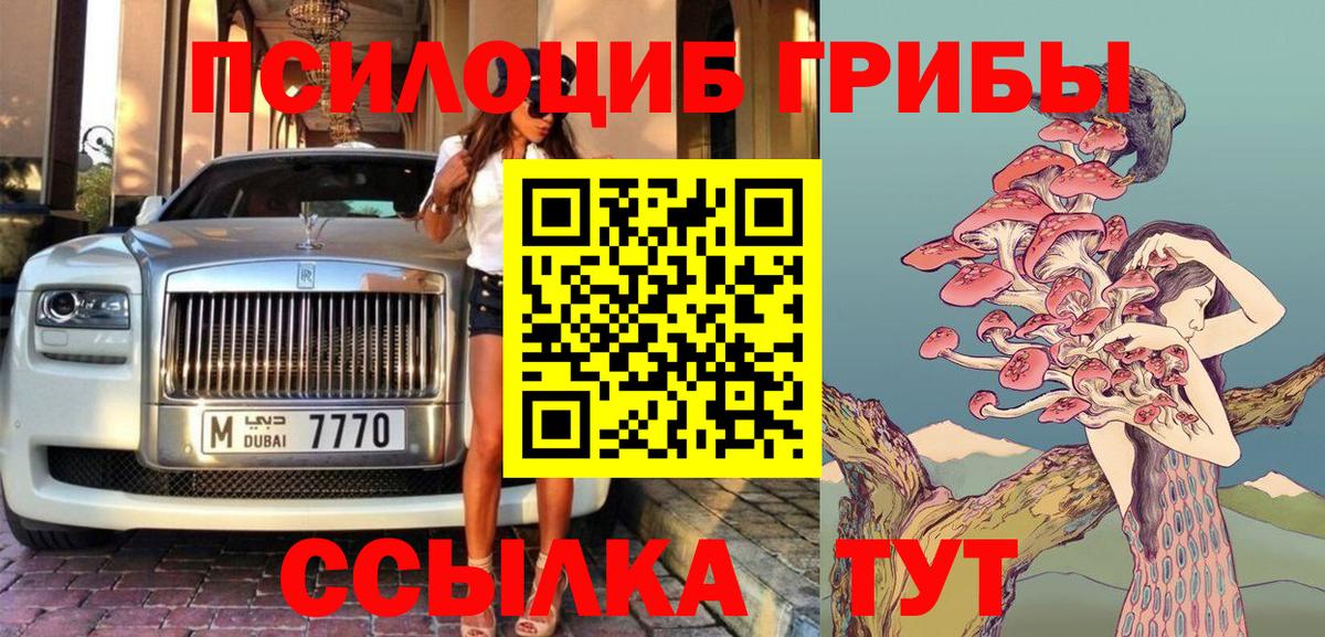 Псилоцибиновые грибы Psilocybine cubensis Слободской