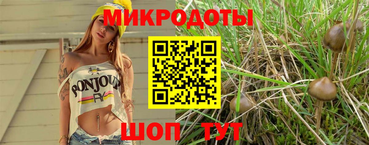Галлюциногенные грибы мухоморы  Галлюциногенные грибы мухоморы  Слободской  Вход с VPN 
